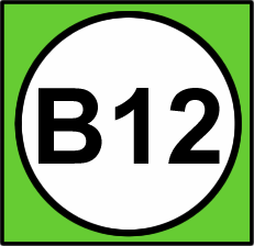 B12 TransMilenio