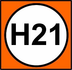H21 TransMilenio