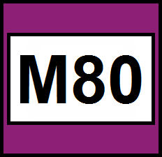 M80 TransMilenio
